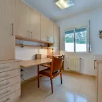 At347 Sorensen 卡尔佩